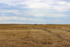 Paesaggio meraviglioso L'aquila ed i grandi campi di grano gialli dopo il raccolto ed il cielo triste nei precedenti immagine stock Paesaggio meraviglioso L'aquila ed i grandi campi di grano gialli dopo il raccolto ed il cielo triste nei precedenti immagine stock