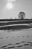 Paesaggio ritmico in bianco e nero su un fiume nell'inverno immagini stock Paesaggio ritmico in bianco e nero su un fiume nell'inverno immagini stock