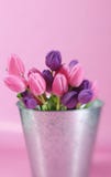 Pail Of Tulips Royalty Free Stock Photos