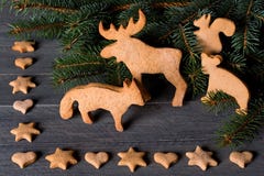Pain d'épice sous forme d'animaux, étoiles et coeurs À l'arrière-plan des arbres de Noël de brindilles Photos stock Pain d'épice sous forme d'animaux, étoiles et coeurs À l'arrière-plan des arbres de Noël de brindilles Photos stock