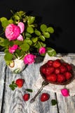 In a painted jug there are branches of lilac roses and jasmine leaves. royalty free stock photos In a painted jug there are branches of lilac roses and jasmine leaves. royalty free stock photos