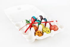Painted quail eggs royalty free stock image Painted quail eggs royalty free stock image