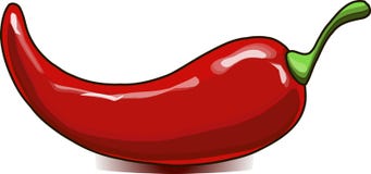Painting hand drawn red chili pepper on white, vector Royalty Free Stock Images Painting hand drawn red chili pepper on white, vector Royalty Free Stock Images