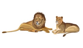 Pair of lions lying down royalty free illustration Pair of lions lying down royalty free illustration