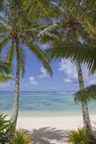 Pair Of Palm Trees On Tropical Beach Royalty Free Stock Image Pair Of Palm Trees On Tropical Beach Royalty Free Stock Image