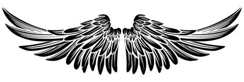 Pair Wings vector illustration Pair Wings vector illustration