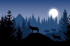 Paisagem azul do vetor com um bloco dos lobos na floresta densa com ilustração royalty free Paisagem azul do vetor com um bloco dos lobos na floresta densa com ilustração royalty free