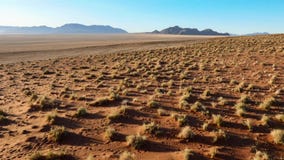 Paisagem bonita em Kalahari com a duna vermelha grande e cores brilhantes imagem de stock Paisagem bonita em Kalahari com a duna vermelha grande e cores brilhantes imagem de stock