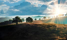 Paisagem bonita mágica com árvores em uma névoa nos montes contra um fundo do céu nebuloso em Toscânia, Itália no nascer do sol imagem de stock Paisagem bonita mágica com árvores em uma névoa nos montes contra um fundo do céu nebuloso em Toscânia, Itália no nascer do sol imagem de stock