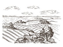 Paisagem com um campo de trigo e as casas da vila Imagem do vetor ilustração do vetor Paisagem com um campo de trigo e as casas da vila Imagem do vetor ilustração do vetor