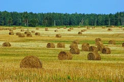 Paisagem do campo com monte de feno fotografia de stock royalty free Paisagem do campo com monte de feno fotografia de stock royalty free