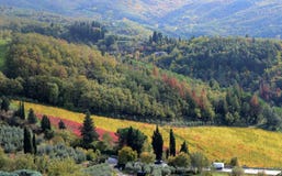 paisagem do campo perto de Arezzo, Toscânia, com um vinhedo colorido fotografia de stock paisagem do campo perto de Arezzo, Toscânia, com um vinhedo colorido fotografia de stock