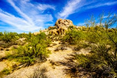 Paisagem do deserto e grandes formações de rocha com Cholla e cactos do Saguaro fotos de stock Paisagem do deserto e grandes formações de rocha com Cholla e cactos do Saguaro fotos de stock
