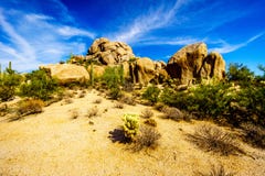 Paisagem do deserto e grandes formações de rocha com Cholla e cactos do Saguaro fotografia de stock royalty free Paisagem do deserto e grandes formações de rocha com Cholla e cactos do Saguaro fotografia de stock royalty free
