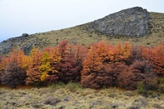 Paisagem do outono no Patagonia Argentina do EL Chalten fotografia de stock Paisagem do outono no Patagonia Argentina do EL Chalten fotografia de stock