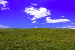 Paisagem do verão com grama verde a inclinação do monte e das nuvens no céu azul brilhante Imagens de Stock Paisagem do verão com grama verde a inclinação do monte e das nuvens no céu azul brilhante Imagens de Stock