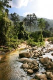 Paisagens tropicais Imagem de Stock Paisagens tropicais Imagem de Stock