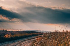 Paisaje con un camino pintoresco a través de campos de la lavanda en Provence, Francia imagenes de archivo Paisaje con un camino pintoresco a través de campos de la lavanda en Provence, Francia imagenes de archivo