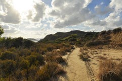 Paisaje de dunas arenosas con la flora verde imagen de archivo Paisaje de dunas arenosas con la flora verde imagen de archivo