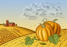 Paisaje de la cosecha de la calabaza stock de ilustración Paisaje de la cosecha de la calabaza stock de ilustración