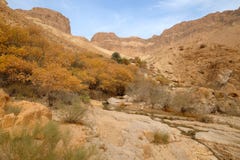 Paisaje de la montaña del desierto de Judea imágenes de archivo libres de regalías Paisaje de la montaña del desierto de Judea imágenes de archivo libres de regalías