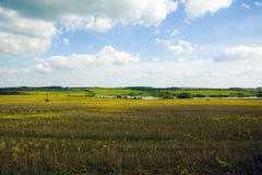 Paisaje de los campos amarillos y del cielo azul, oblast de Tulskaya, Rusia Fotografía de archivo libre de regalías Paisaje de los campos amarillos y del cielo azul, oblast de Tulskaya, Rusia Fotografía de archivo libre de regalías