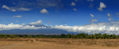 Paisaje del africano de Tanzania de la montaña de Kilimanjaro imágenes de archivo libres de regalías Paisaje del africano de Tanzania de la montaña de Kilimanjaro imágenes de archivo libres de regalías
