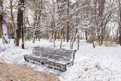Paisaje del invierno con los bancos en el callejón del parque Imagen de archivo