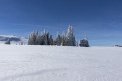 Paisaje del invierno del área de Platoto de la meseta en la montaña de Vitosha, Sofia City Region, Bulgaria fotografía de archivo Paisaje del invierno del área de Platoto de la meseta en la montaña de Vitosha, Sofia City Region, Bulgaria fotografía de archivo
