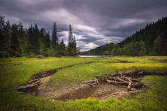 Paisaje del lago Foldsjoen cerca de Hommelvik Lago boreal, bosques imágenes de archivo libres de regalías Paisaje del lago Foldsjoen cerca de Hommelvik Lago boreal, bosques imágenes de archivo libres de regalías