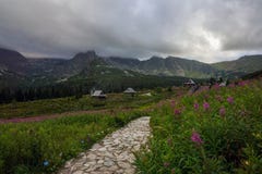 Paisaje hermoso de un valle de la montaña en las montañas de Tatra Imagen de archivo libre de regalías Paisaje hermoso de un valle de la montaña en las montañas de Tatra Imagen de archivo libre de regalías