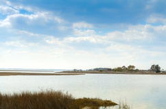 Paisaje hermoso del pantano de la costa nacional de la isla de Assateague fotos de archivo libres de regalías Paisaje hermoso del pantano de la costa nacional de la isla de Assateague fotos de archivo libres de regalías