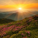 Paisaje hermoso del verano, montañas de Europa, viaje de Europa, mundo de la belleza Fotos de archivo Paisaje hermoso del verano, montañas de Europa, viaje de Europa, mundo de la belleza Fotos de archivo