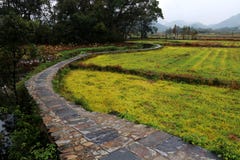Paisaje hermoso en Wuyuan, Jiangxi imagen de archivo libre de regalías Paisaje hermoso en Wuyuan, Jiangxi imagen de archivo libre de regalías