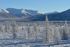 Paisajes del invierno de Oymyakon foto de archivo Paisajes del invierno de Oymyakon foto de archivo