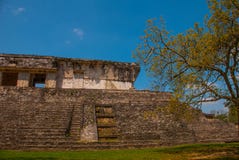 Palenque, il Chiapas, Messico: Area archeologica con le rovine, le tempie e le piramidi nella città antica della maya fotografie stock Palenque, il Chiapas, Messico: Area archeologica con le rovine, le tempie e le piramidi nella città antica della maya fotografie stock