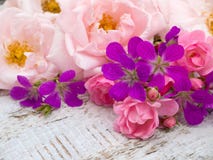 Palidezca - las rosas y el ramo rosados rosados y brillantes del geranio imagen de archivo libre de regalías Palidezca - las rosas y el ramo rosados rosados y brillantes del geranio imagen de archivo libre de regalías