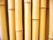 Palillos de bambú Palillos de bambú