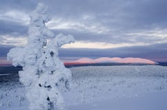 Pallas national park, Finland