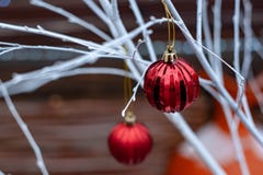 Palle rosse di Natale sui rami bianchi fotografie stock Palle rosse di Natale sui rami bianchi fotografie stock