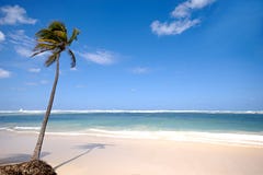 Palm Beach Stock Images Palm Beach Stock Images