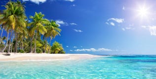 Free Palm Beach In Tropical Paradise Stock Photo - 116201570