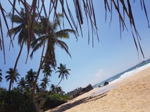 Palm Beach sull'oceano fotografia stock Palm Beach sull'oceano fotografia stock