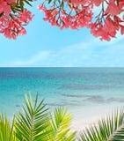 Palm, bloemen en zand royalty-vrije stock foto Palm, bloemen en zand royalty-vrije stock foto