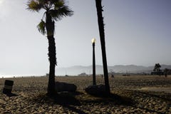 Palm en straatlantaarn bij het strand van Venetië royalty-vrije stock afbeelding Palm en straatlantaarn bij het strand van Venetië royalty-vrije stock afbeelding