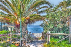 Palm en zand in een tropisch strand in hdr royalty-vrije stock afbeeldingen Palm en zand in een tropisch strand in hdr royalty-vrije stock afbeeldingen