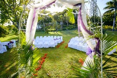 Palm-fringed Wedding Arch in Lush Tropical Garden with Flamboyant Trees stock image Palm-fringed Wedding Arch in Lush Tropical Garden with Flamboyant Trees stock image