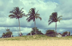 Aard deutsch download