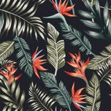 Palm leaves tropical flowers seamless black background royalty free illustration Palm leaves tropical flowers seamless black background royalty free illustration