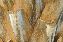 Palm Tree Pattern Royalty Free Stock Photo